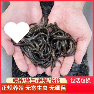 �������q���r��ι�B������~���~���D����������q�Bֳ��ˮ�^�F��