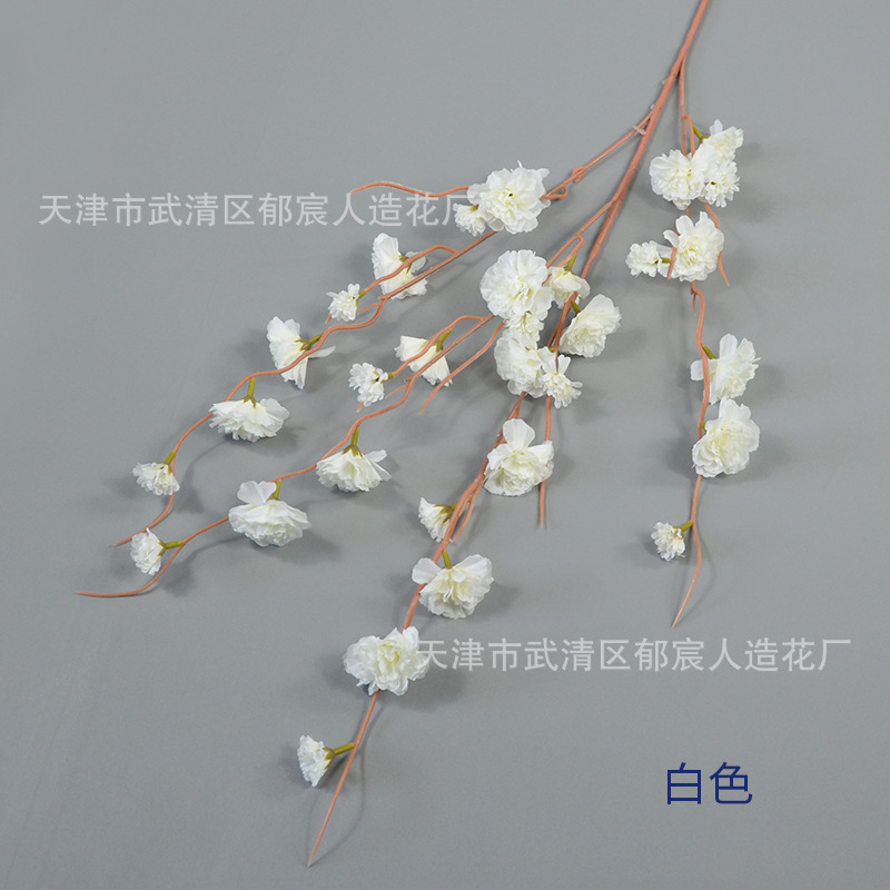 화이트