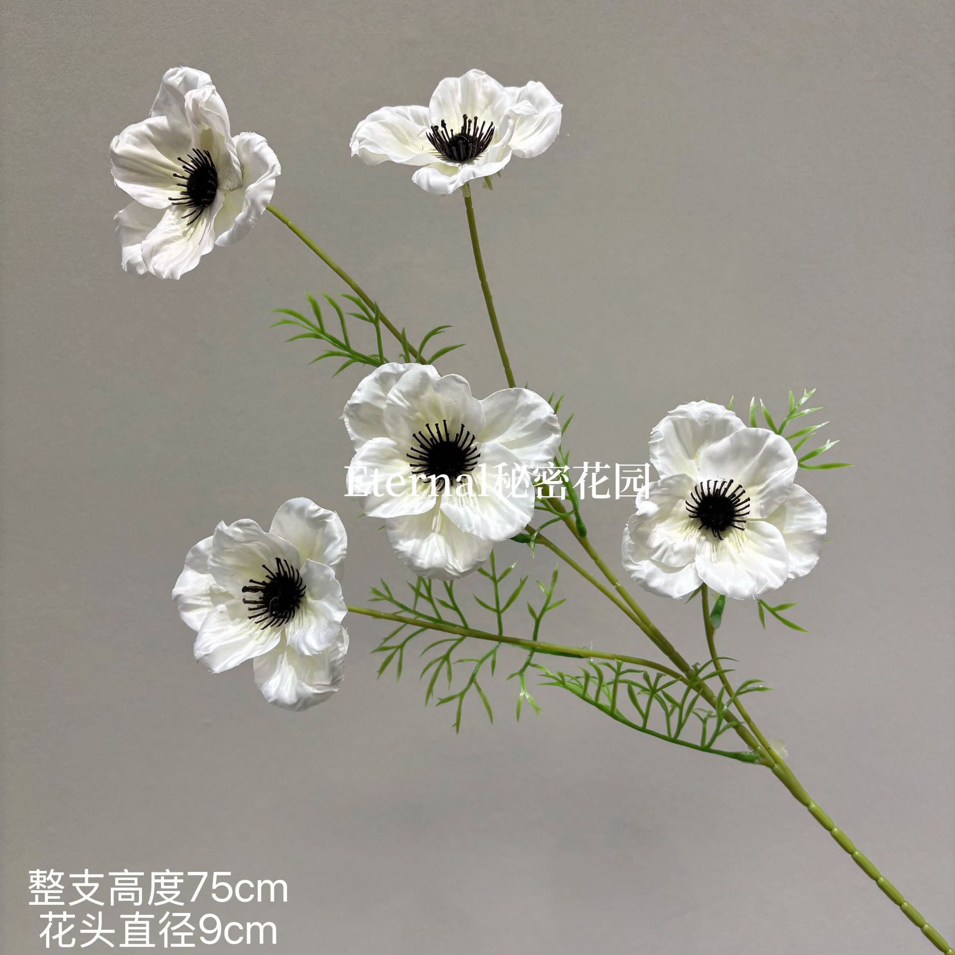 불꽃놀이 아네모네
