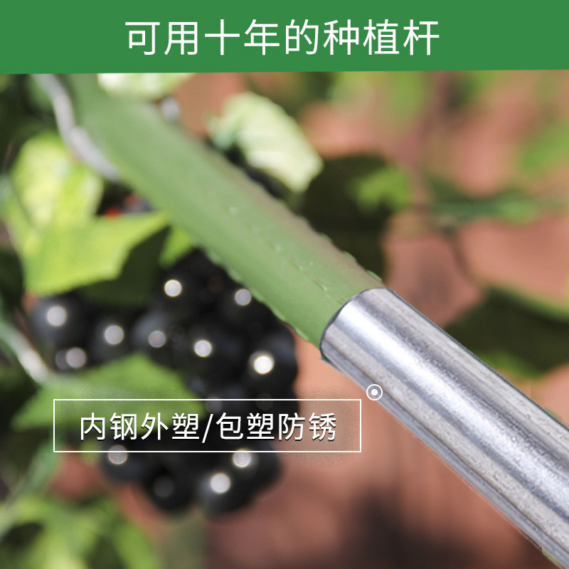 园艺支架包塑钢管种菜架子花架爬藤支撑植物杆户外豆角黄瓜|undefined