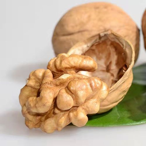 Xinjiang specialty 185 paper-skinned walnuts wholesale 500g hand-peeled Aksu thin-skinned raw walnuts
