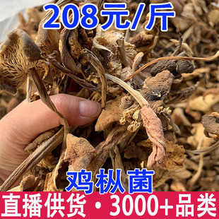 �u������؛ ����u�� ��Ƥ�u�� �u�� ���ñ�u�����l