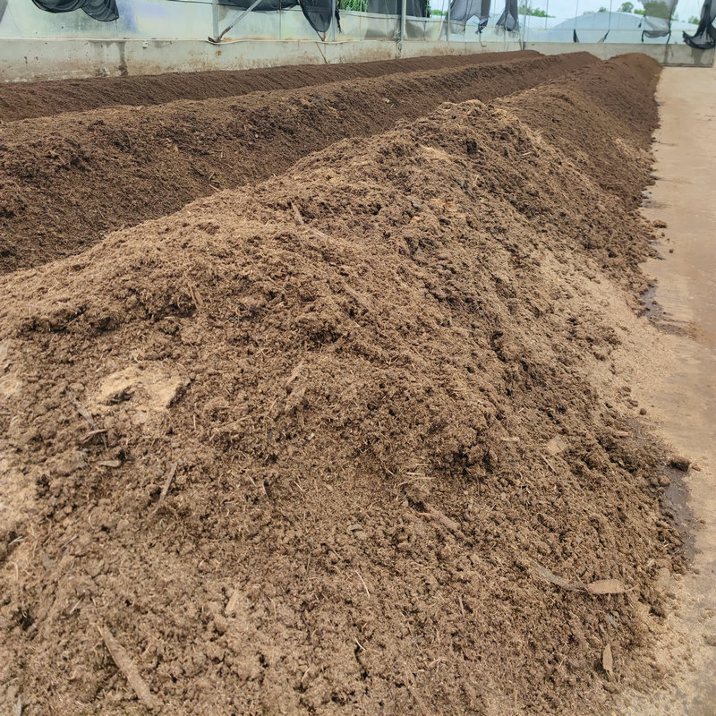 3bf43d8090603a3ebfa50bb0fcd4a9