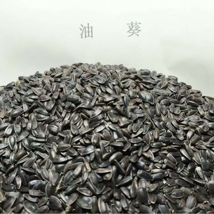 �Ϳ� ѿ��� ���� ĵ�����P���Z�}��t�����Bʳ�������W�^����B