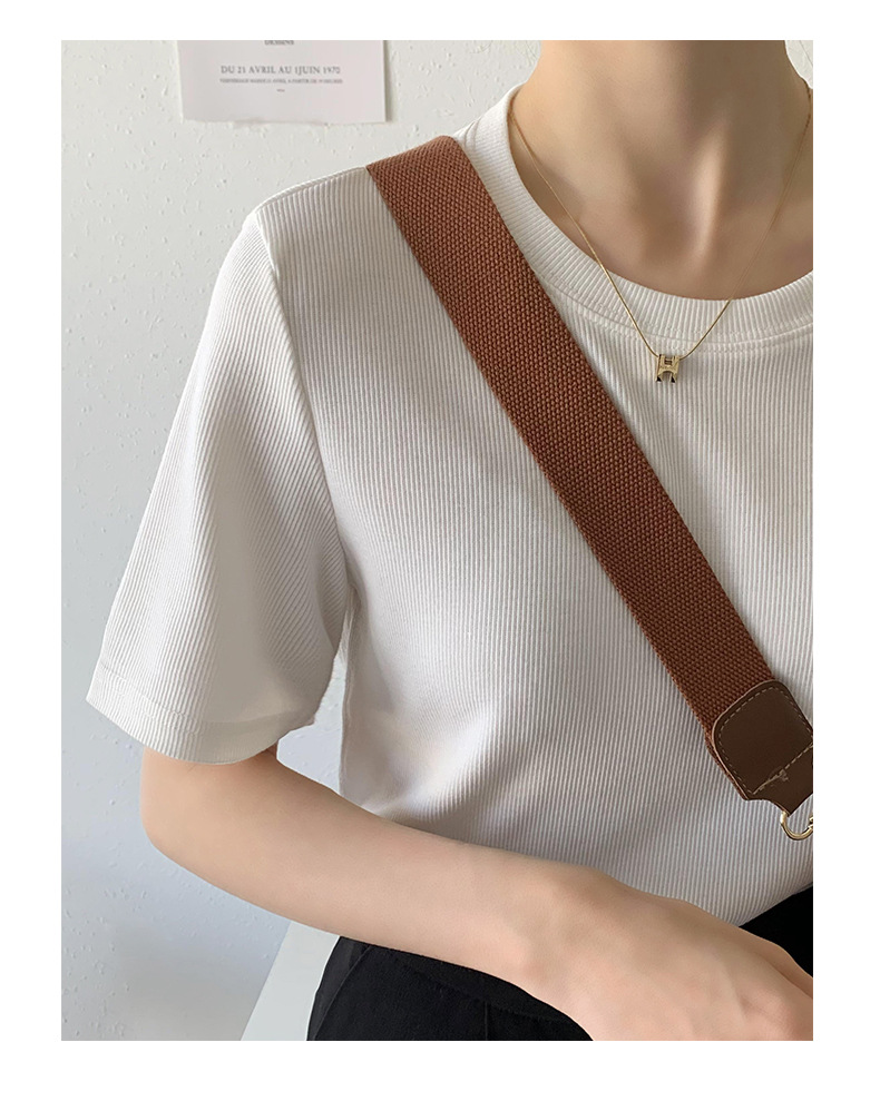 t016211646851373658193125869.j