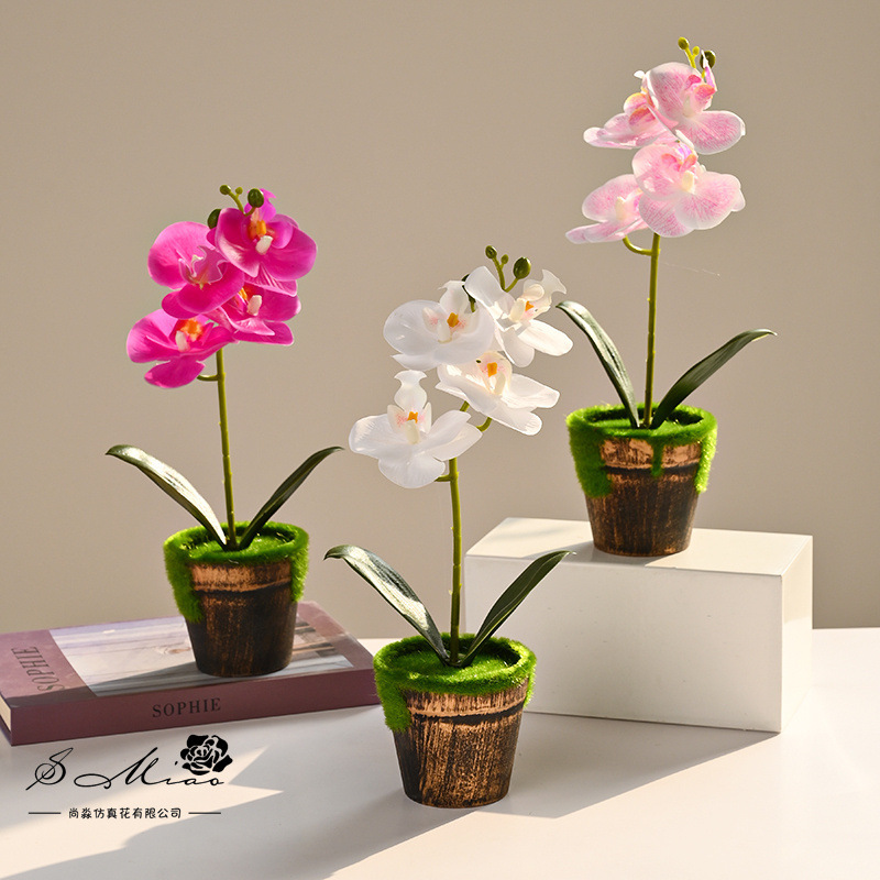 Flor falsa sensación de orquídea mariposa pequeña flor artificial bonsai maceta decoración del hogar fotografía verde decoración de boda flores simuladas