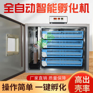 yut intelligent incubator automatic incubator small and medium-sized household chick incubator egg incubator pigeon egg incubator
