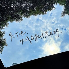 車のステッカー サンルーフテキスト 車のステッカー パーソナライズされたクリエイティブなルーフ装飾 防水性と日焼け止め リアフロントガラス 車のステッカー