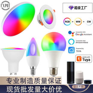 �T�f������픟��Z��WiFi���ݟ�׃ɫalexaGoogle���{�⌣��