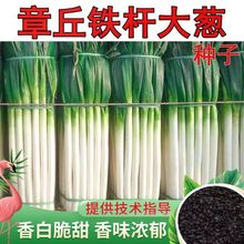 ߮aɽ|[NFUͩͺͺ׷NNɽ|[