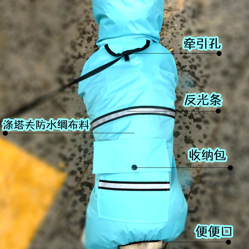 bedd54a9-e449-4336-997e-e471816313a1.jpe