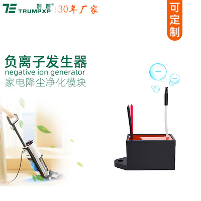创普TRUMPXP家电消烟降尘空气净化模块DC12V负离子发生器TFB-Y50