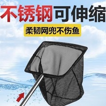 鱼缸捞鱼网水族箱用品大全小渔捞捕捞鱼网兜方形捞鱼小号大号密网