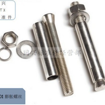 304ステンレス鋼の膨張ねじm 6/m 8/m 10ファスナーの膨張ボルトの爆発ねじの量が大きいメーカーが直接供給します。|undefined