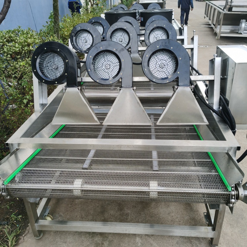 脱水风干线 包装袋清洗风干线 蔬菜水果清洗风干流水线