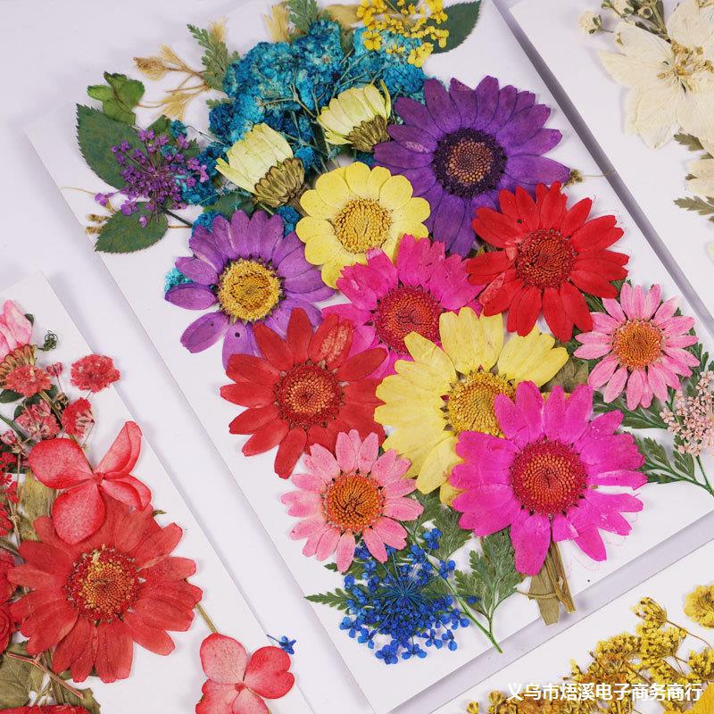 干花DIY押花包 押花书签压花包压花画材料真花滴胶干树叶