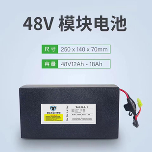適用愛瑪電動車星恆鋰電池48V12Ah48V1h小型大容量雅迪天能超威