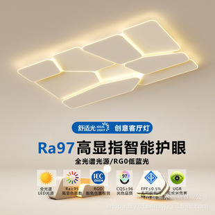 Nordic Creative Atmospheric Living Room Light Simple Modern Led Ceiling Light Designer Bedroom Light 2025 New Lamps
