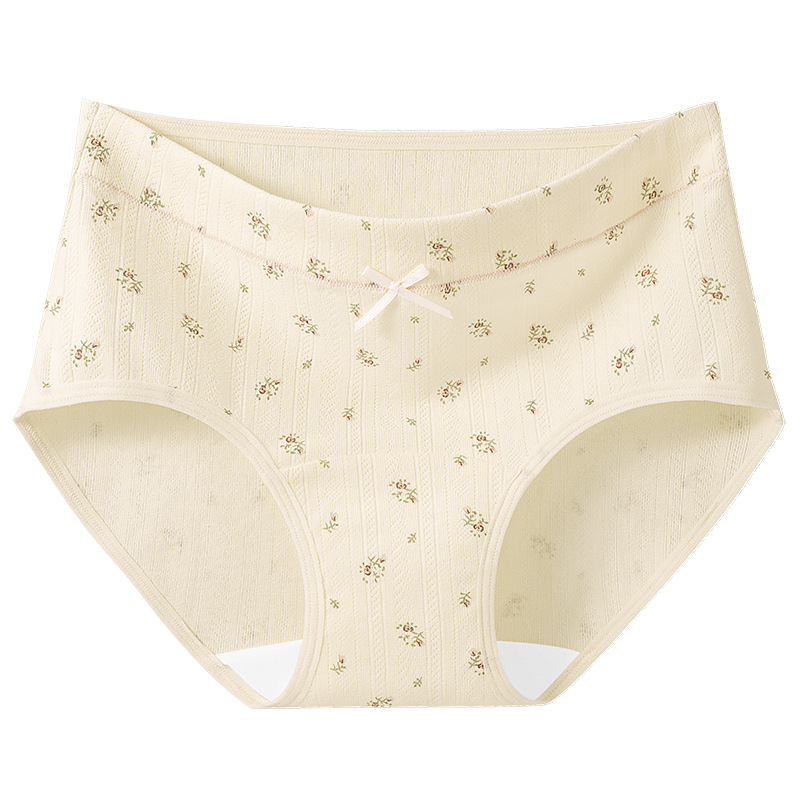 Ropa interior de entrepierna larga "Cream Flower", ropa interior de algodón para niñas, entrepierna antibacteriana, cintura media, nueva ropa interior de mujer sin costuras