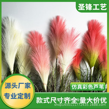 仿真绿植彩色芦苇洋葱草把束商场装饰婚庆道具白日焰火芦苇草定制