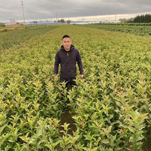 ���� �t�����\���� �ļ��\������ �G�h����ľ�\���ͺ�������ľ