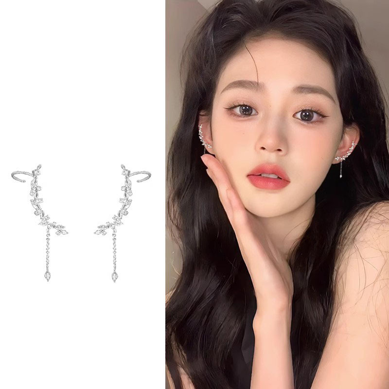 Elegant earrings with tassels
