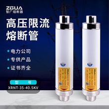 �ǏV�߉������߷֔������۔���XRNT-35/40.5KV10AA20A50A100A