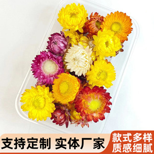 �������ɻ��߲ʾ� �����ɻ��^��Ȼ�滨���ﻨDIY�ֹ���������