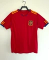 2010 Spain Home