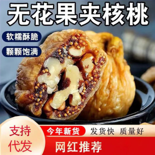 �o�����ɊA�����ʡ����l���o�����½��خa�ЋD��ʳ��ʳ�o������