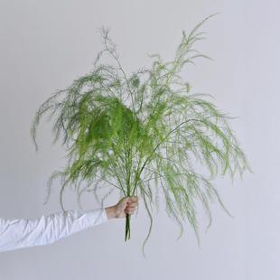 Popular Xiaohongshu Floral Art Preferred Wedding Fresh Asparagus Green Plant Reed Grass Wedding Background Shopping Mall Landscaping Grass