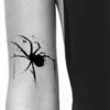 W914 fruit juice spider-3 sheet