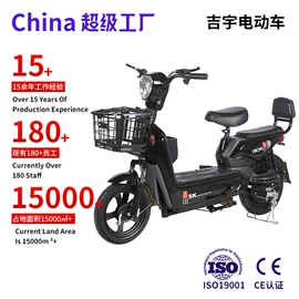 其他电动车;电动三轮车