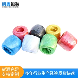 捆绑带;捆扎绳;束线带