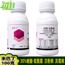 �װͶ� 38%��������� �����Ѿ��� ������� ��ݮ�׷۲�������