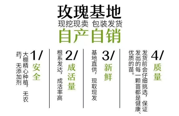 fc4ed1fc-dd2b-4313-8d85-9bea19d4856f.jpe