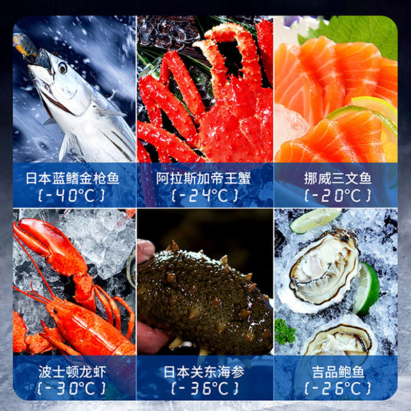 -40 ℃ Ultra-Low Temperature Freezer Commercial Large-Capacity Seafood Quick-Frozen Copper Tube Frost-Free Minus 40 Degree Freezer