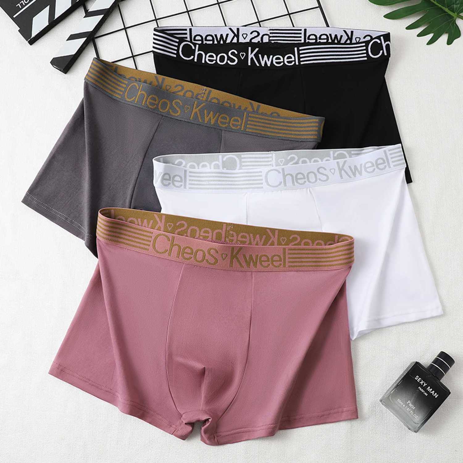 微信图片_20250320120248