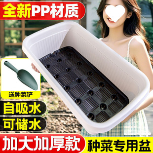 �Ԅ���ˮ�̨�N������˼Ӻ�����ش�̖�҃�ݮ�L���ηN�ˌ�����