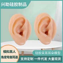 �ɶ�ģ�ͽ̌W����ģ�͌W�T�L����������z������ڶ��������Sֱ��