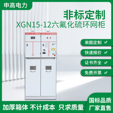 XGN15-12hWVS1Ք·_P10KVؓ_P