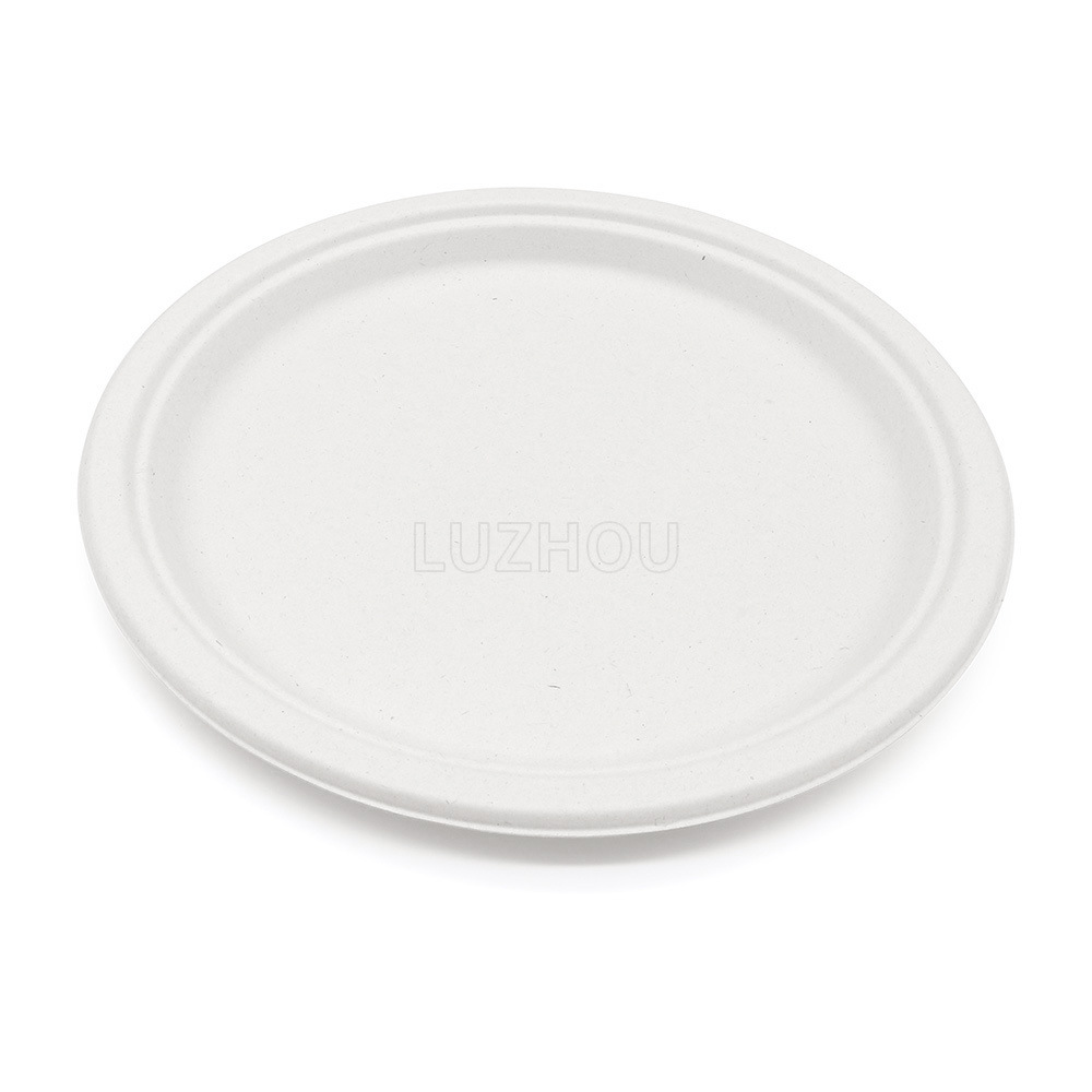 Shaogeng oasis 6-pulgadas degradable compostable desechable bagazo partido boda disco pastel placa 1000