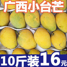 特甜熟果正宗广西小台农芒果鸡蛋芒黄芒树上熟香甜当季水果5/10斤