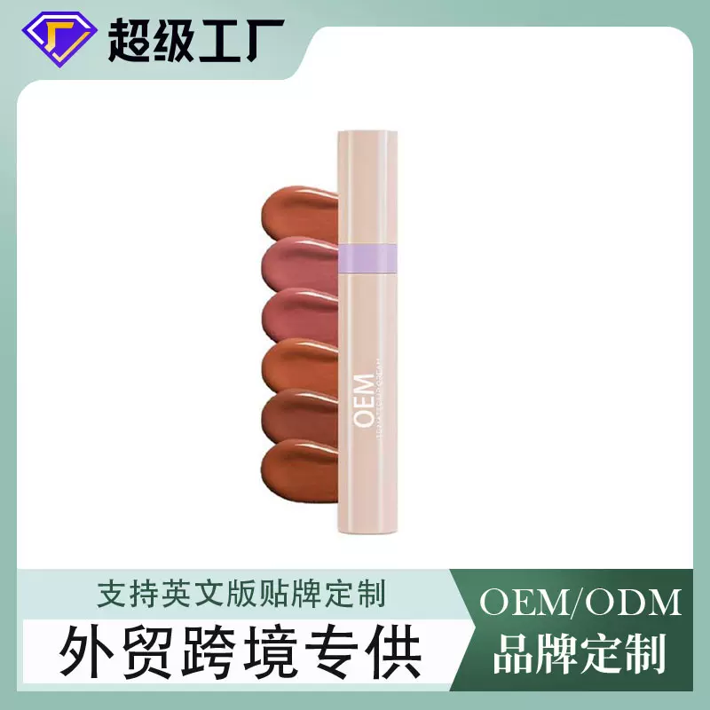 跨境专供雾面口红oem哑光丝绒唇釉易上色唇彩全英文品牌定制代工