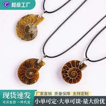 天然马达加斯加海螺化石切片吊坠螺菊石化石矿石标本女生项链批发