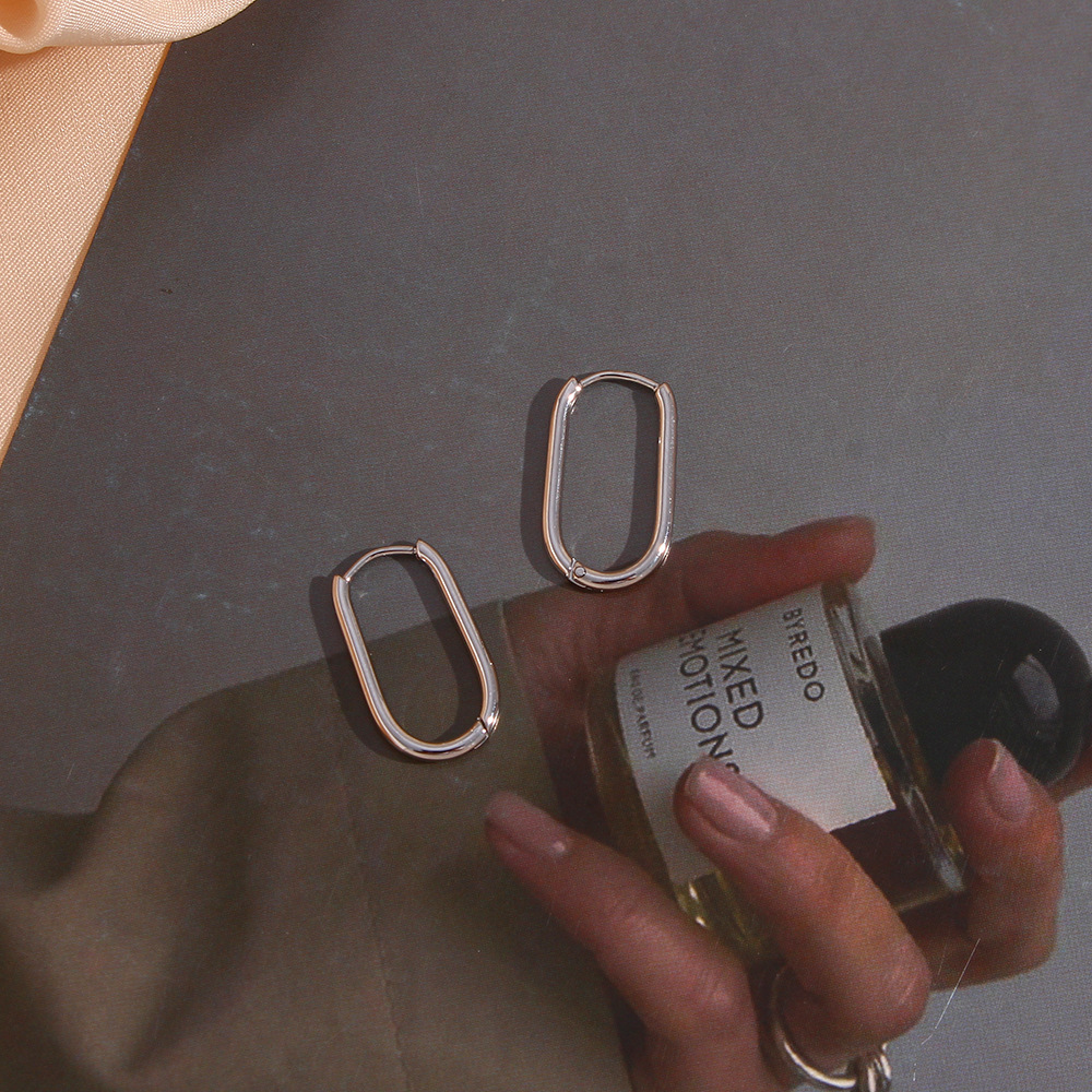 Simple Style Geometric Stainless Steel Earrings Plating Stainless Steel Earrings