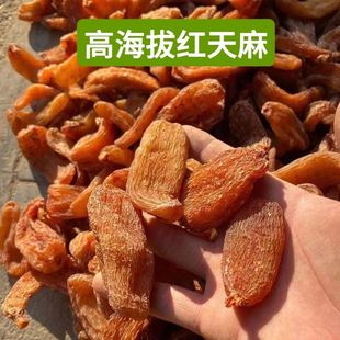 ���t���顿��ϸߺ���Ѫ������Ѫ����t����