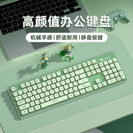 键盘;光电鼠标;其他鼠标键盘