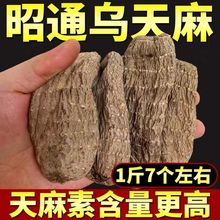 ͨС݉Ξ鼃ȻҰr؛ں^