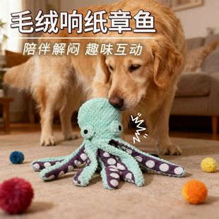 �¿�ﹷ��ë�q�l���푼��l����ë�q���~��ż